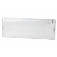 Аварийный светильник светодиодный ЭРА DPA-301-1-65 постоянный  40LED 3ч IP65