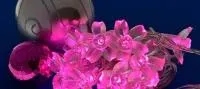 ULD-S0700-050/DTA PINK IP20 PINK SAKURA Гирлянда светодиодная с контроллером «Сакура розовая», 50с/д